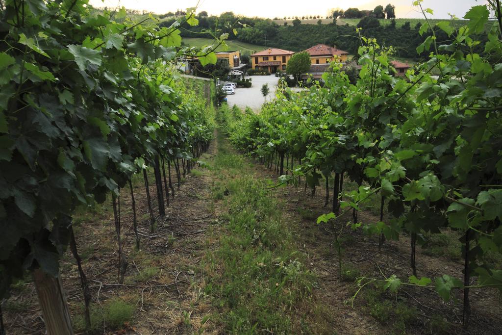 Agriturismo Gaggioli Borgo Delle Vigne Zola Predosa Exteriér fotografie