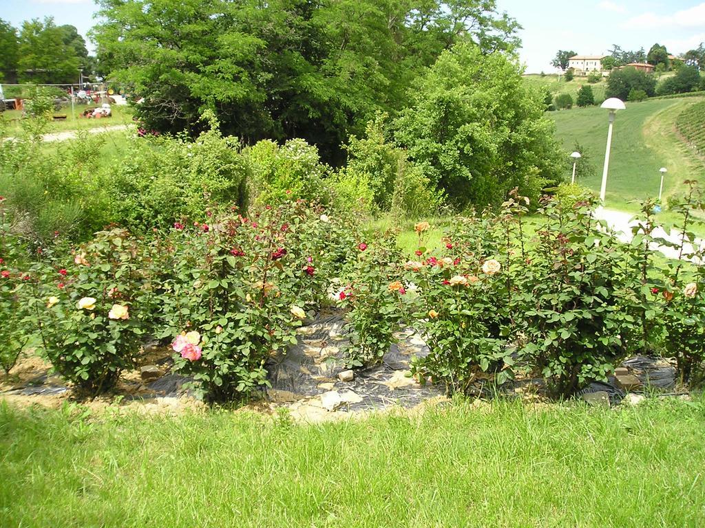 Agriturismo Gaggioli Borgo Delle Vigne Zola Predosa Exteriér fotografie