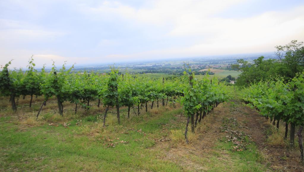 Agriturismo Gaggioli Borgo Delle Vigne Zola Predosa Exteriér fotografie