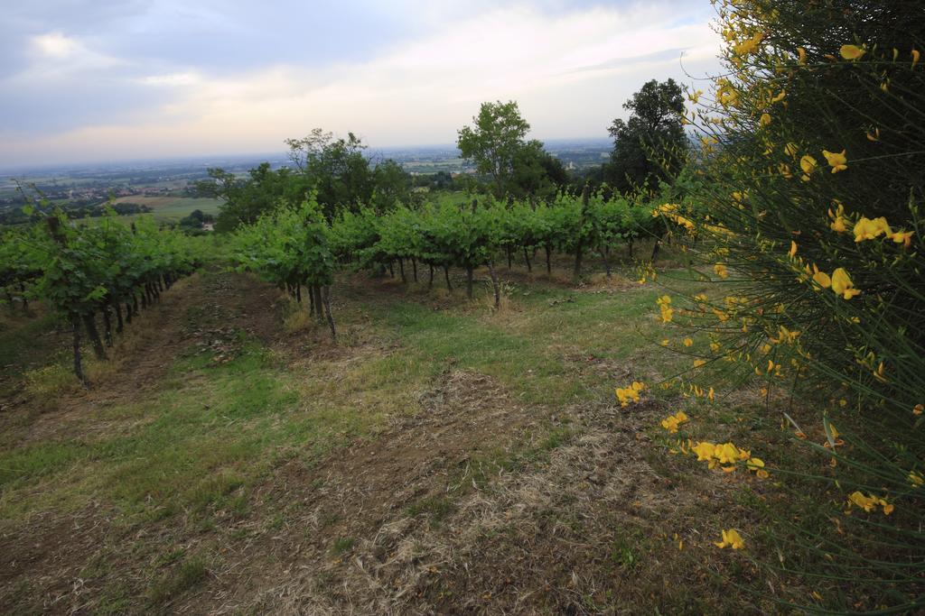 Agriturismo Gaggioli Borgo Delle Vigne Zola Predosa Exteriér fotografie