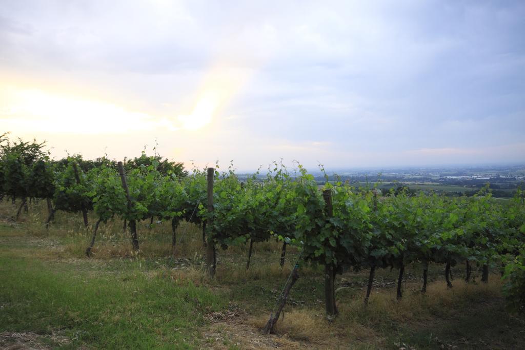 Agriturismo Gaggioli Borgo Delle Vigne Zola Predosa Exteriér fotografie